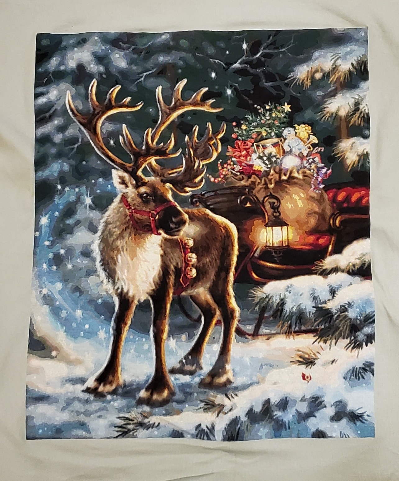 The Enchanted Christmas Reindeer – HAED Gallery